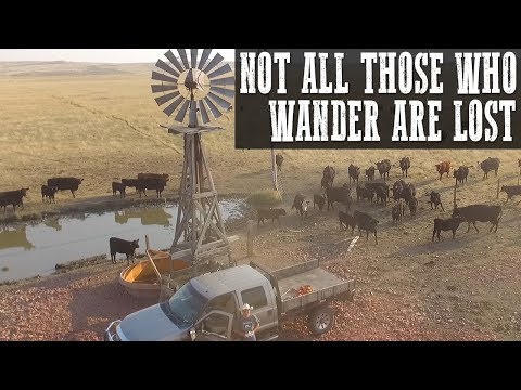 Video: Was Ist Eine Ranch
