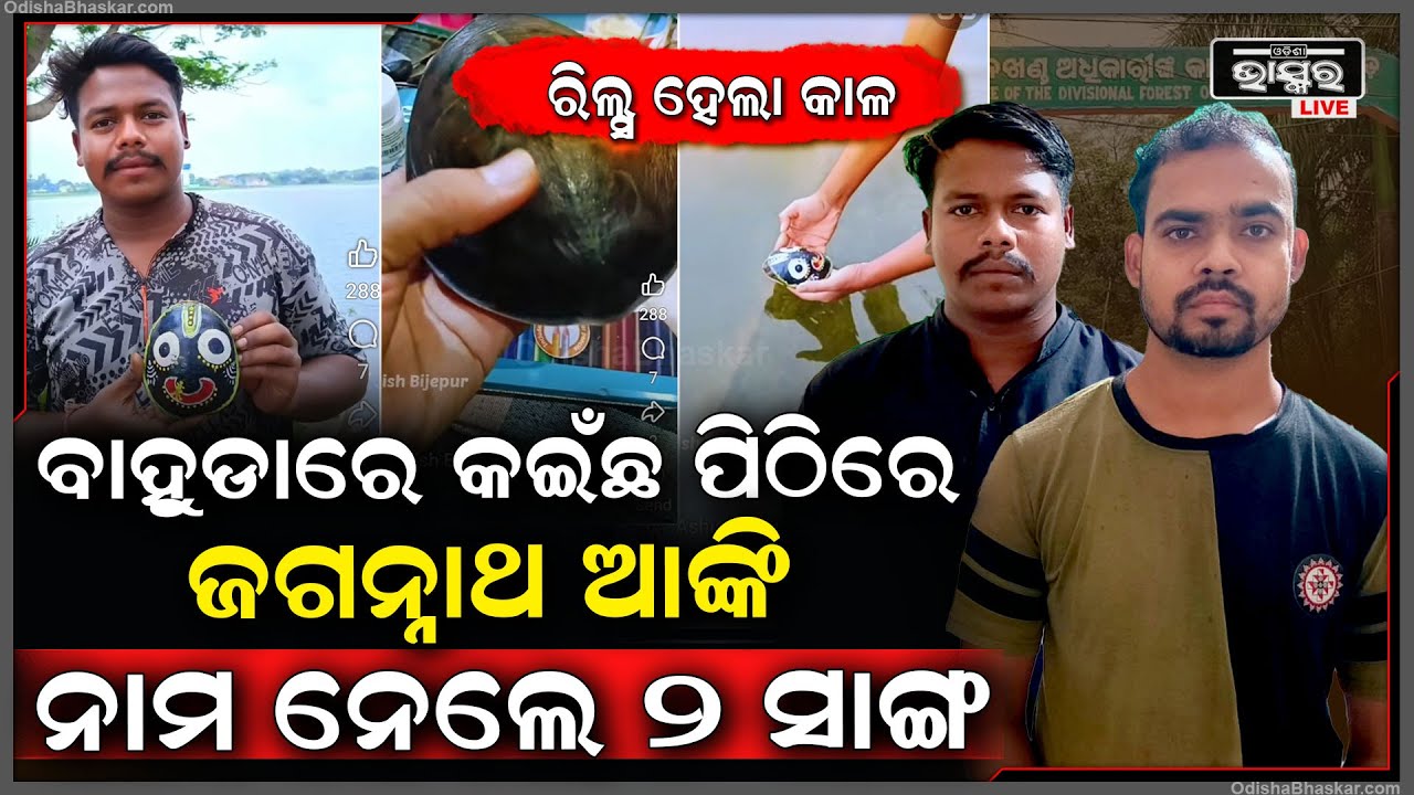 ବାହୁଡ଼ାରେ କଇଁଛ ପିଠିରେ ଜଗନ୍ନାଥ ଚିତ୍ର ଆଙ୍କିବା ରିଲସ କରିବା ହେଲା କାଳ , ଖୋଜି ଖୋଜି ଗାଁ ରେ ବାନ୍ଧିଲା ବନବିଭାଗ