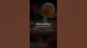 تلاوة عذبة و خاشعة تنساب كالنسيم 📌 سورة النساء عالم من الطمأنينة و السكنية