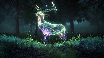 #intro logo for video