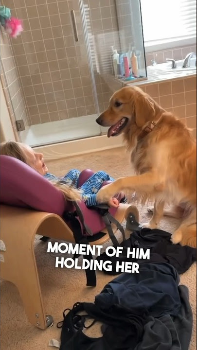 This dog loves his sister with special needs ❤️