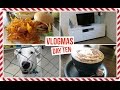 NEW FURNITURE &amp; VISITING THE RSPCA! Vlogmas Day #10 2016