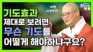 제대로 기도하고있는지 알수 있는 방법! [광우스님의 찾아가는 법문]#광륜사