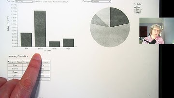 Stat 243 Module 3 Video 1 Displaying A Single Categorical Variable