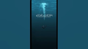 سورة الانسان تلاوة الشيخ: ماهر المعيقلي .