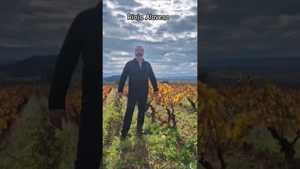 Enoturismo por Rioja Alavesa. Bonitos paisajes otoñales entre viñedos #Winerider #Enoturismo