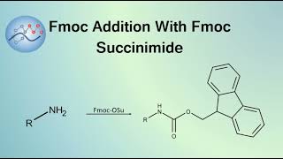 Adding Fmoc Group With Fmoc-OSu Mechanism | Organic Chemistry