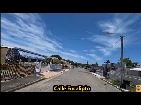 Una Urb. En Jardines de Ponce, Puerto Rico-julio25-2024