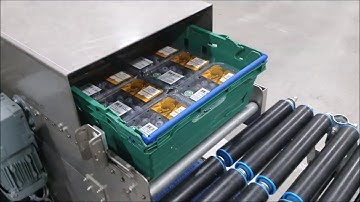 Automated punnet packing