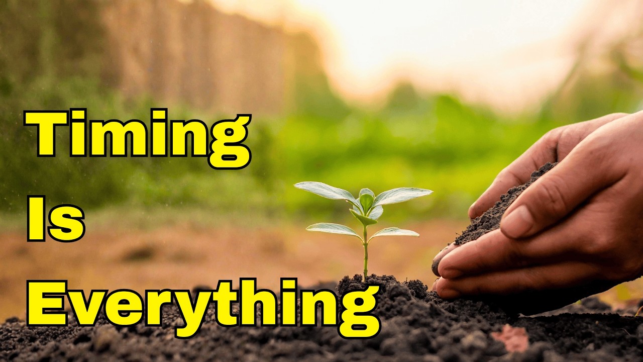 Самая распространенная ошибка при посеве семян: неправильное время посадки перца и помидоров.