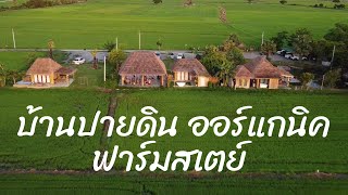 นอนกลางทุ่งนา บ้านปายดินออร์แกนิค ฟาร์มสเตย์ สุพรรณบุรี