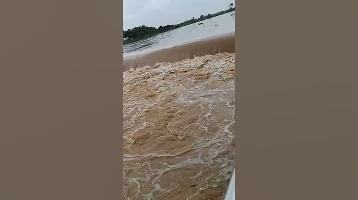 Khammam Munneru vaagu 2022 #Khammam #munneru #rains