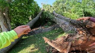 Removal of Tree off House in Huntsville