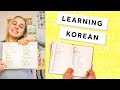 How I Study KOREAN | Notebook, practice, vocabulary 🇰🇷✨