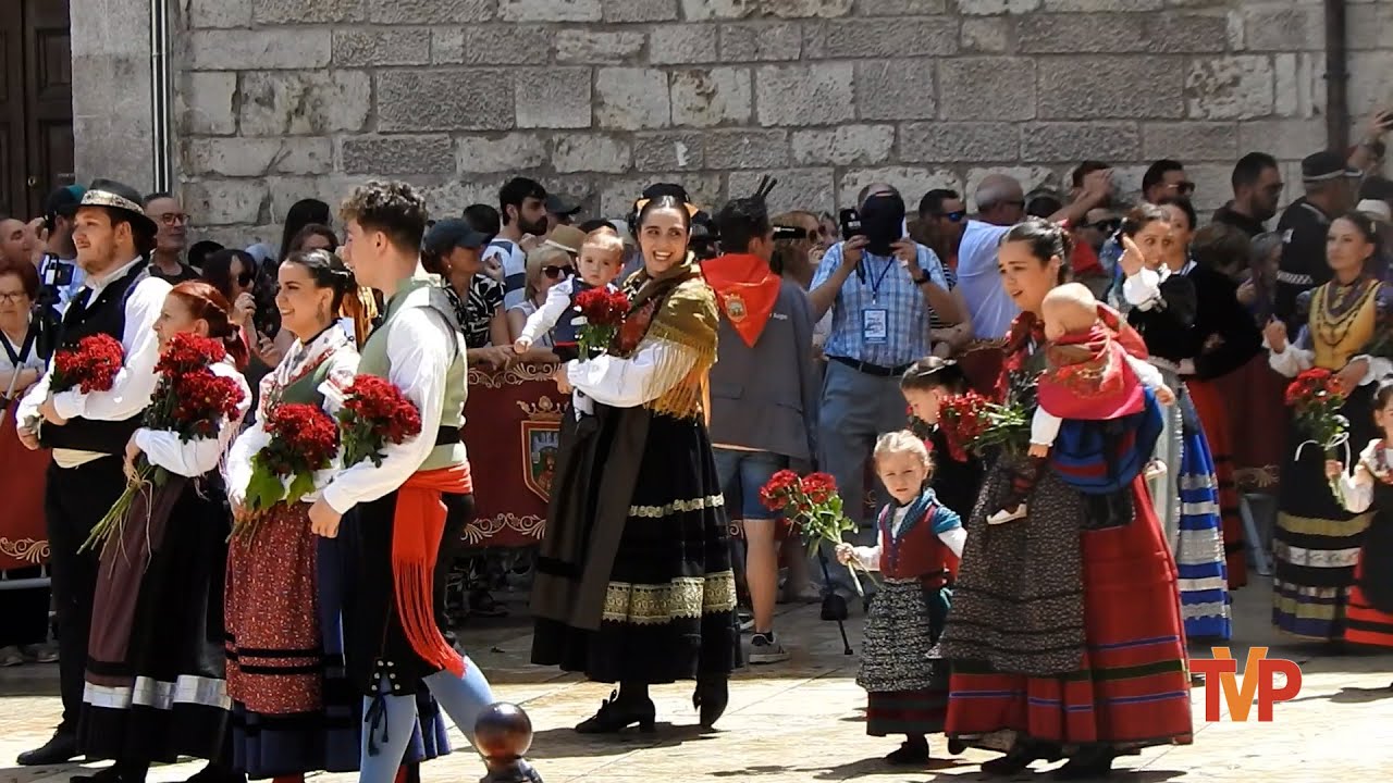 Ofrenda floral a Santa María la Mayor - Burgos 2025