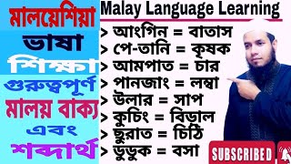 মালয়েশিয়া ভাষা শিক্ষা।। Learn Malay Sentence & Basic Words।। Malay to Bangla।। Vasha Shikkha