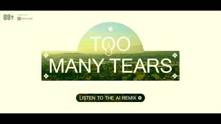 Warren Hue - Too Many Tears (toomanytears.ai ai remix) (41-Minute Version)