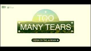 Warren Hue - Too Many Tears (toomanytears.ai ai remix) (41-Minute Version)