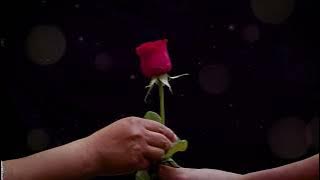 Mawar Berduri - Isak Harry (Official Audio)