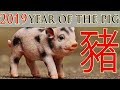 Year of the Pig 2019 | Chinese zodiac signs explained | Myth Stories