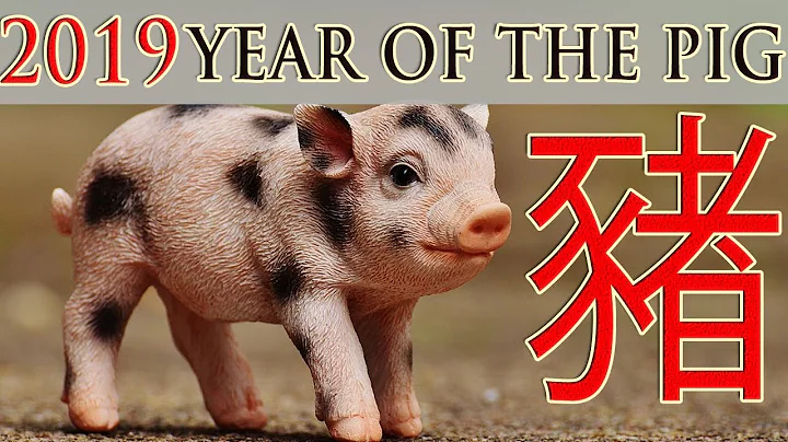 Year of the Pig 2019 | Chinese zodiac signs explained | Myth Stories