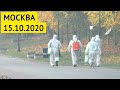 Коломенское, санобработка // 15 октября 2020