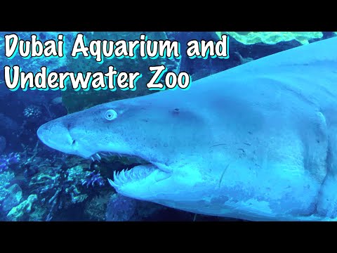 Dubai Aquarium and Underwater Zoo