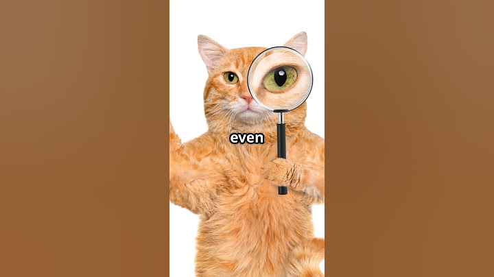 Did you knoww😦😲 #cat #mysteryinside #mystery #intresting #viral #investigations #viralshort #meow