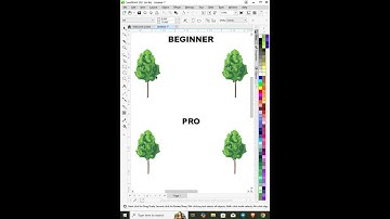 Coreldraw Tutorial 2021 - Tree line Adjust For More Tips