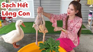 Sạch Hết Lông Con Làm Gà Vịt Bạn Nên Bỏ Thứ Này Vào, Cách Làm Gà Vịt Siêu Nhanh Ăng Không Bị Tanh