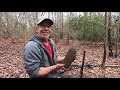 North Carolina Swamp Artillery! | Aquachigger