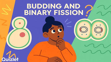 Understanding Cell Division in Bacteria | Binary Fission and Budding Explained