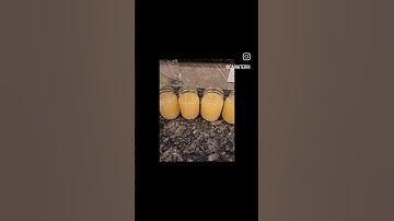 Carnivore Chicken Broth #carnivore #carnivorediet #recipe