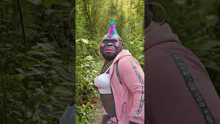 Gorilla In Boss Mode 🦍😎 #GorillaLife #FunnyShorts #Viral