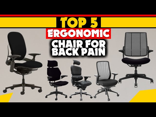 Ergonomic Chairs: 5 Best Office Chair For Back Pain in 2023 