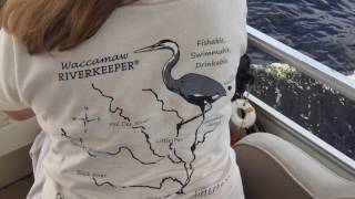Protect Our Rivers
