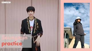 Stray Kids Seungmin Tik Tok Challenge (Cut)