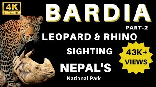 LEOPARD & RHINO SIGHTING | NEPAL | BARDIA NATIONAL PARK, PART-2 #leopard #viral #wildlife #rhino #4k