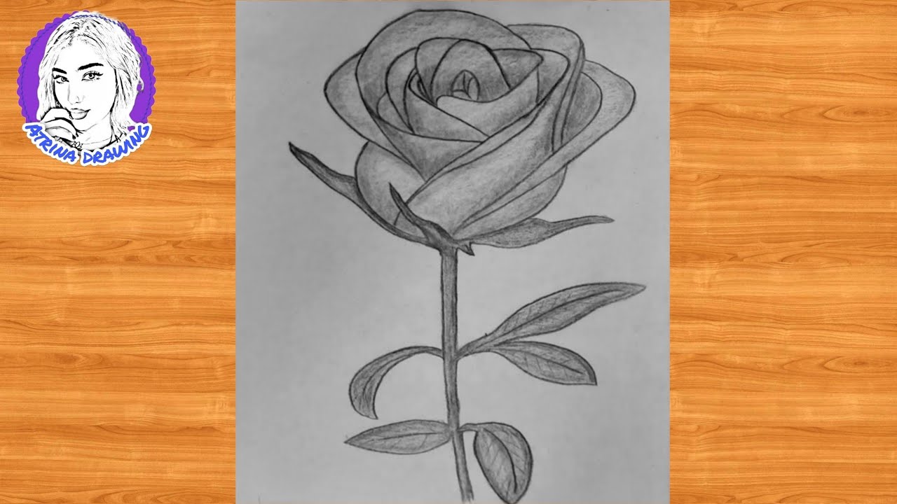 Rose Flower Coloring Page And Book Hand Drawn Line Art Illustration  Beautiful Flower Black And White Drawing Vector 20198465 Vector Art at  Vecteezy