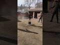A man's pants fell down while he was jumping rope #shorts #mishap #mishaps #booboo #accident