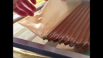 Architectural Ecologies Lab: Constructed Ecologies Fall 2020: Pietro Carini: Kombucha Pellicle