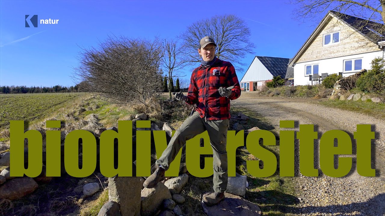 Den Vilde Gartner Alex Agerbo – Forår i den Naturlige Have