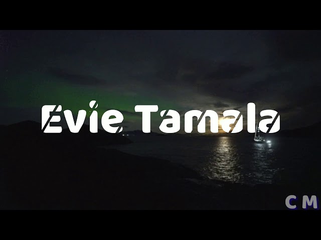 Menanti - Evie Tamala class=