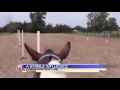 Stories in the Heartland: A Stable Influence / July 18, 2014