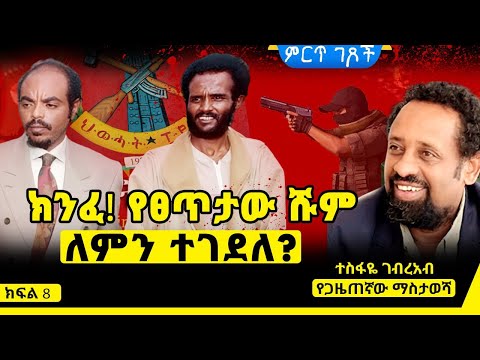 ክንፈ የፀጥታው ሹም ክንፈ ገብረመድህን ለምን ተገደለ የጋዜጠኛው ማስታወሻ ክፍል 8 ጸሀፊ ጸሀፊ ተስፋዬ ገብረአብ