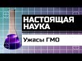 Ужасы ГМО и их отдалённые последствия