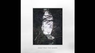 Tir - Awaiting the Dawn (2023) (Dungeon Synth, Dark Folk)