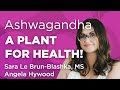 Ashwagandha  amazing for your health  wholisticmatters podcast  special series medicinal herbs