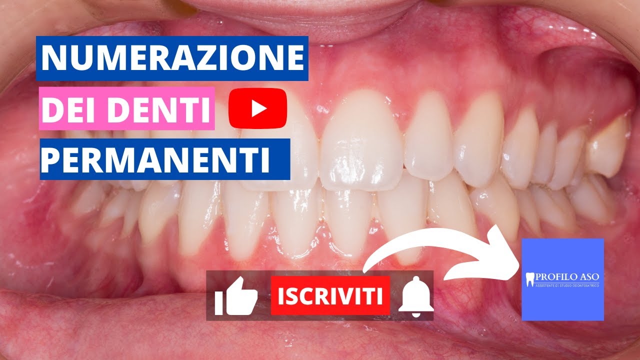 NUMERAZIONE DEI DENTI PERMANENTI