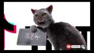 Danayit Mekbib On Tiktok New Ethiopian Tik Tok Funny Videos Special Show144P